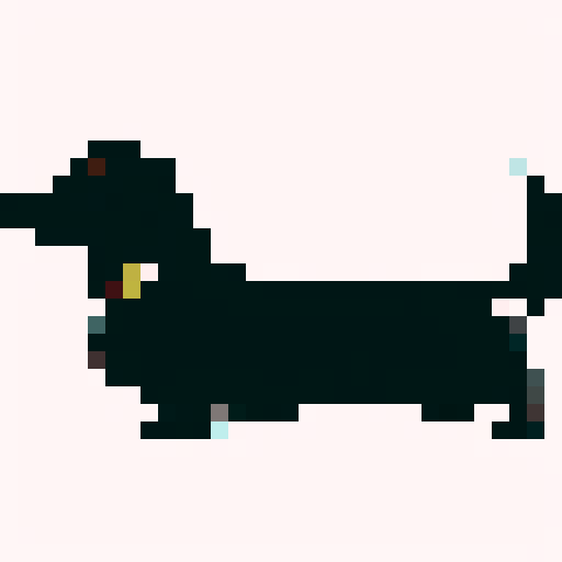 Long Haired Dachshund dog