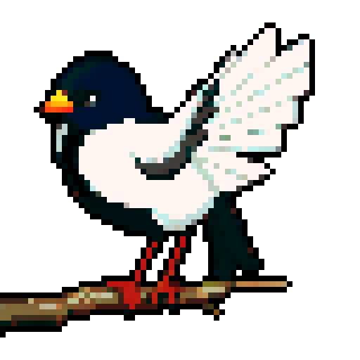 New Zealand Bird with fan tail. 