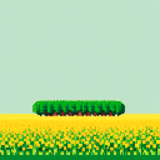 Field of grass background