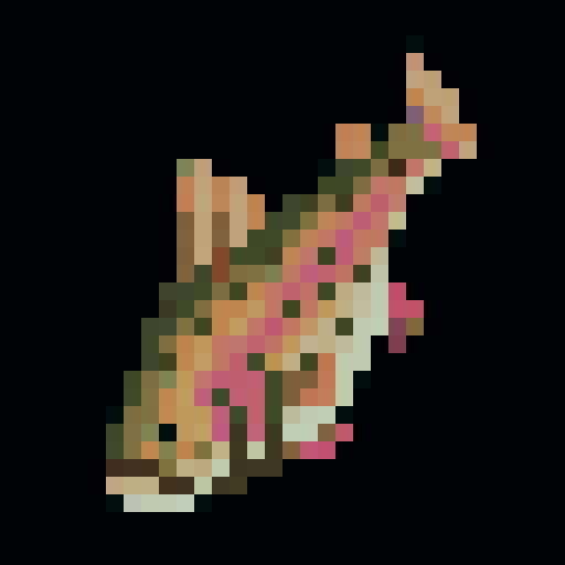 One Atlantic Bluefin Tuna