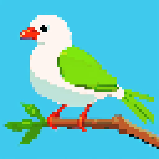 New Zealand Bird with fan tail, cute. 