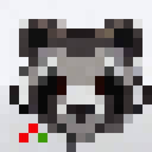 Raccoon face on a transparent background 