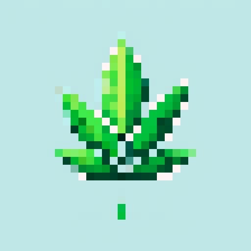 one green leaf, white background