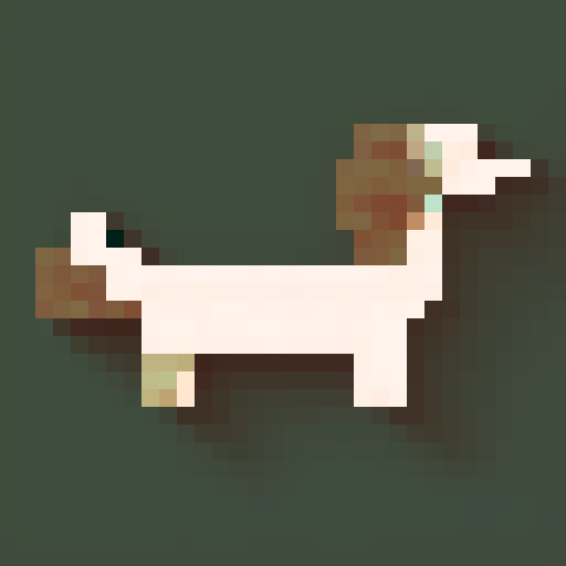 Long Haired Dachshund dog, side on, long, brown. White background. No border.