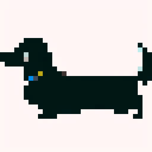 Long Haired Dachshund dog