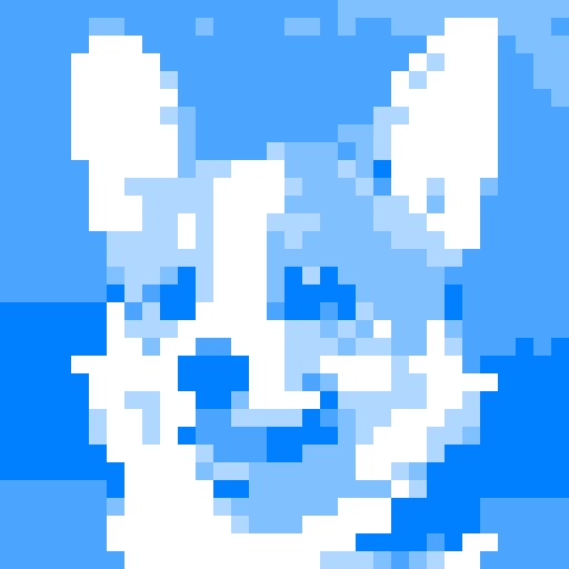 Corgi close up portrait 