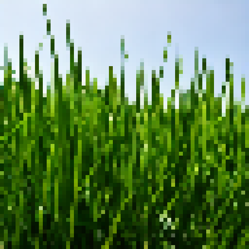 Grass