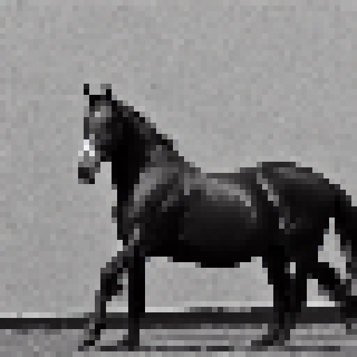 a horse, black and white