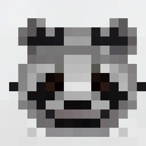 Raccoon face on a transparent background 