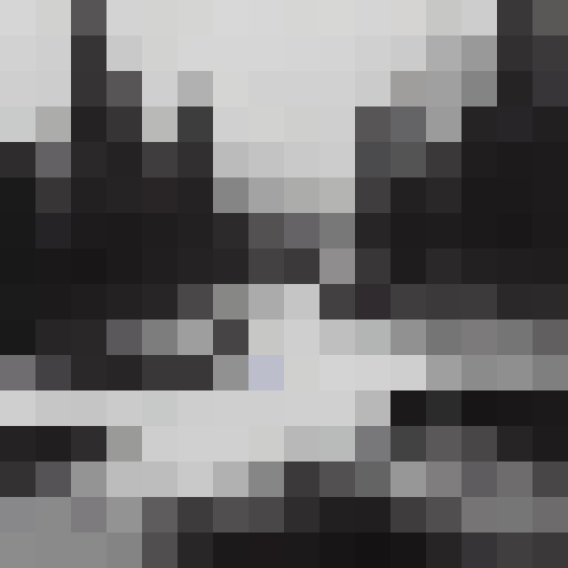 dark forest in a thumderstorm