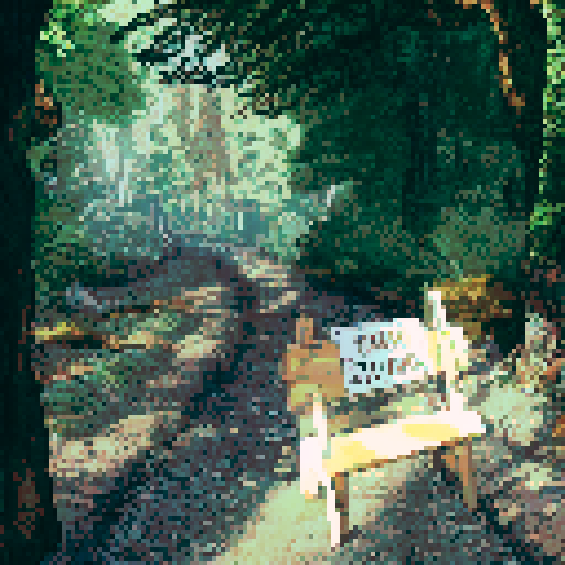 forest trail, long shadows, summer, woodlands, scenic