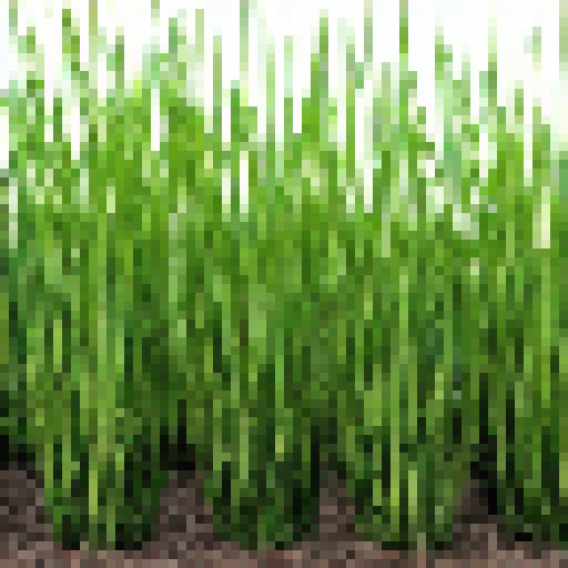 Grass