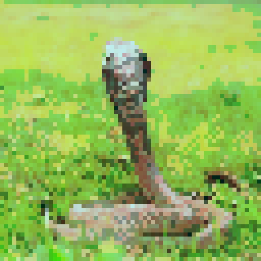 Cobra snake, night time, dark background