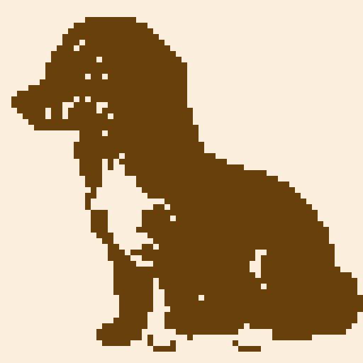 Long Haired Dachshund dog, side on, long, brown, cute