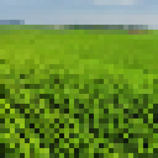 a colorful farm with variety of crops