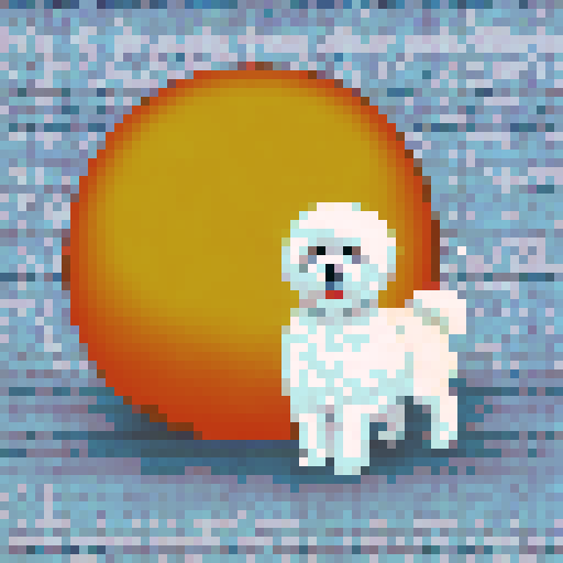 Apricot colored fur, bichon frise