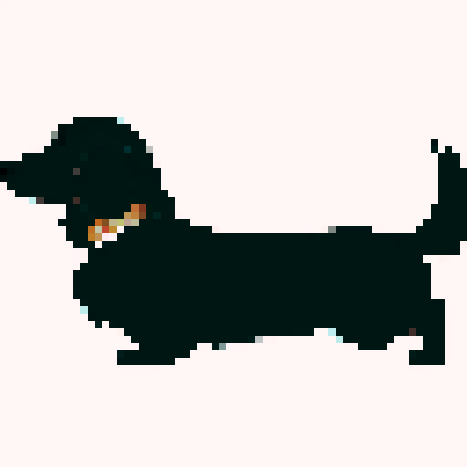 Long Haired Dachshund dog, side on, long, brown.