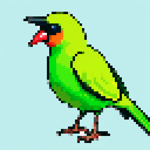 New Zealand Bird with fan tail, cute. 