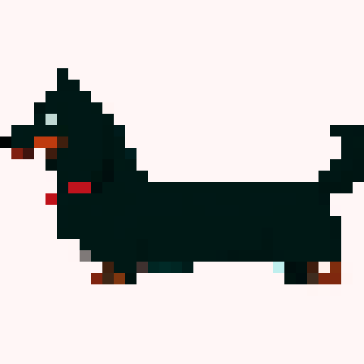 Long Haired Dachshund dog, side on, long, brown