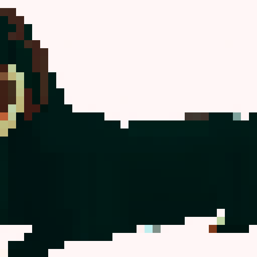 Long Haired Dachshund dog, side on, long, brown. White background.