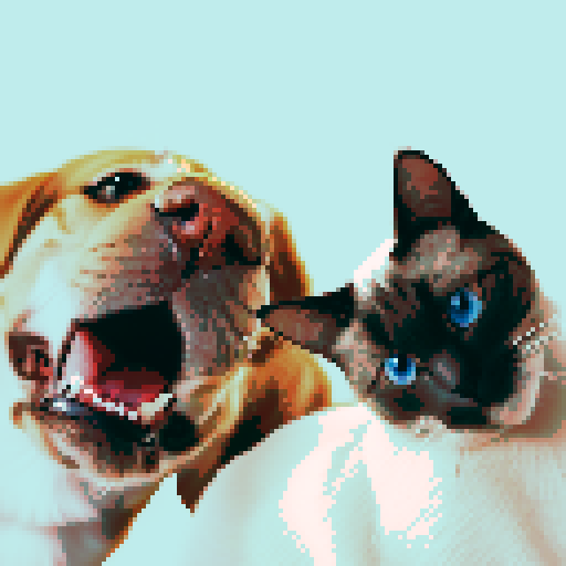 cat and dog