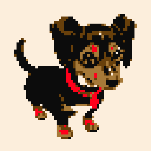 Dachshund dog, cute.