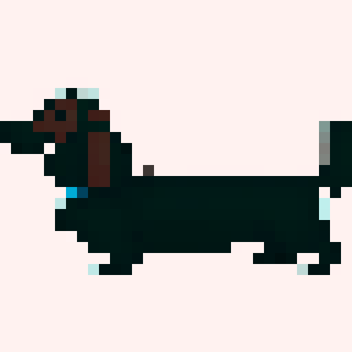 Long Haired Dachshund dog, side on, long, brown