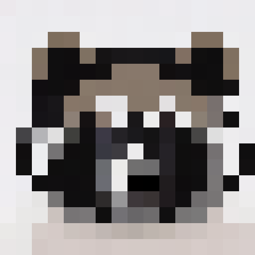 Raccoon face on a transparent background 