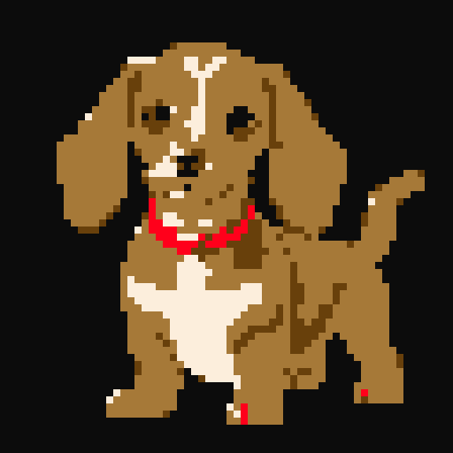 Dachshund dog, cute.