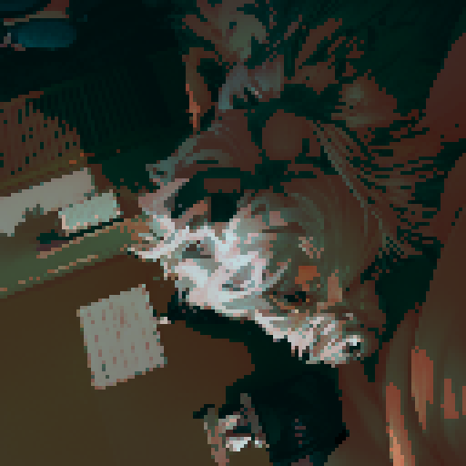 Small silver schnauzer-looking dog at the beach