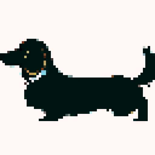 Long Haired Dachshund dog, side on, long, brown.