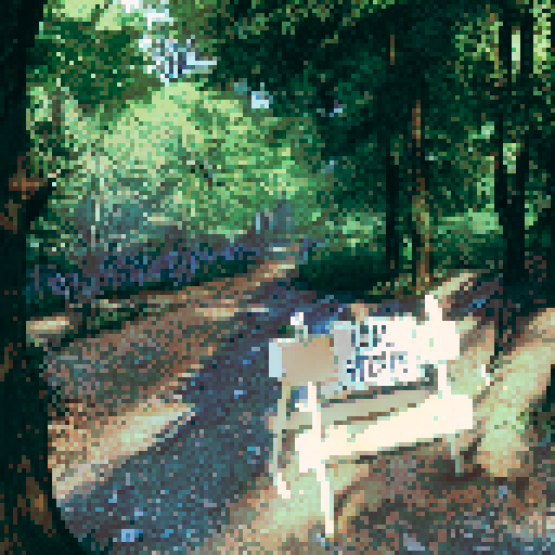 forest trail, long shadows, summer, woodlands, scenic