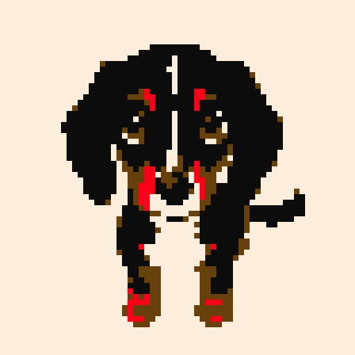 Dachshund dog, cute. 