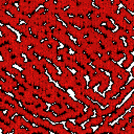 Sunflower fields top view, i.e. like a map