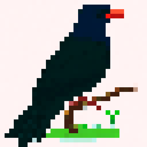 New Zealand Bird with fan tail.