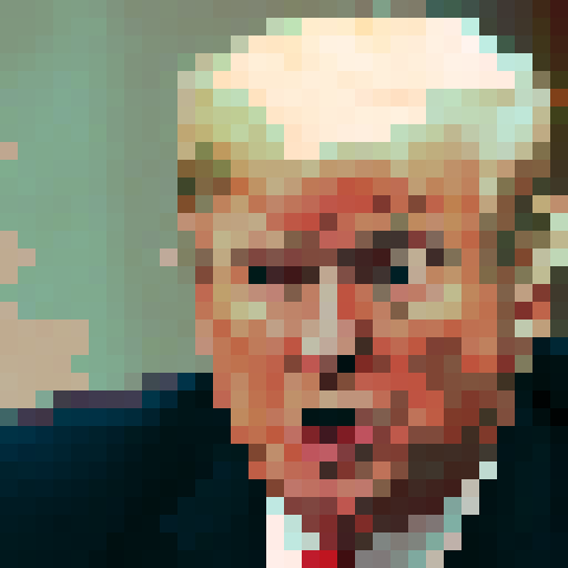 Racoon in Garbage can