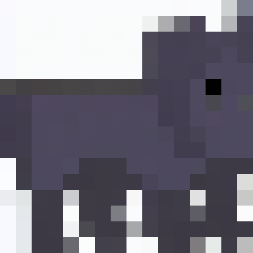 portrait of a gray dog who is sitting