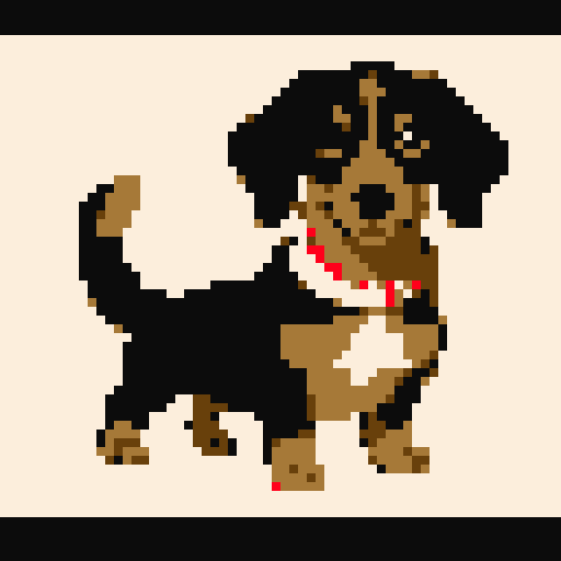 Dachshund dog, cute.