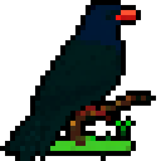 New Zealand Bird with fan tail.