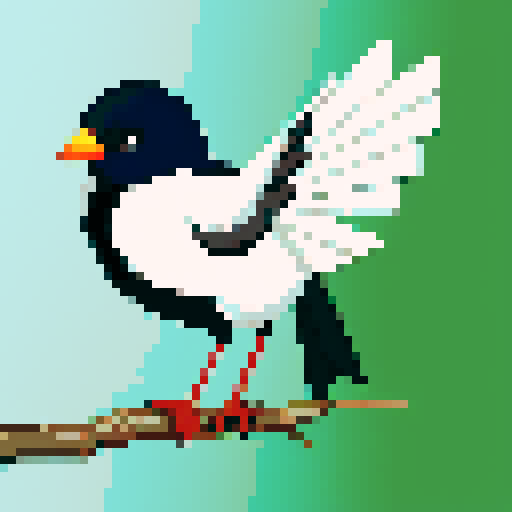 New Zealand Bird with fan tail. 