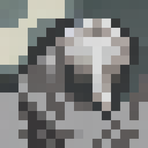 fluffy grey wolf head,  howling