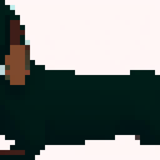 Long Haired Dachshund dog, side on, long, brown. White background. No border.