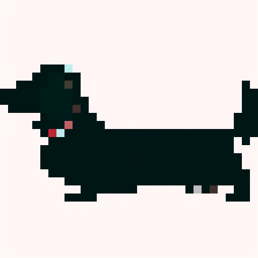 Long Haired Dachshund dog