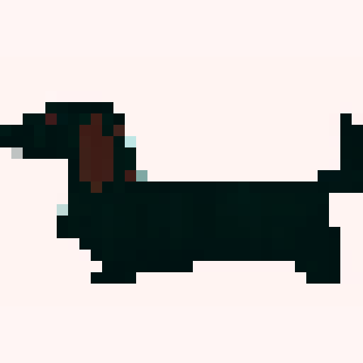 Long Haired Dachshund dog, side on, long, brown