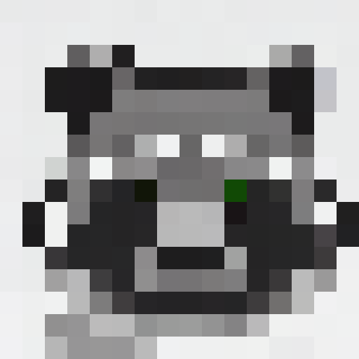Raccoon face on a transparent background 