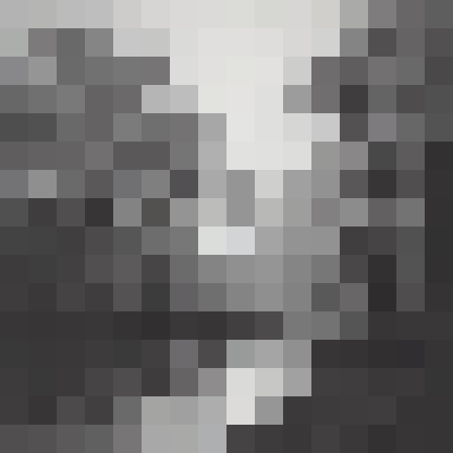 dark forest in a thumderstorm