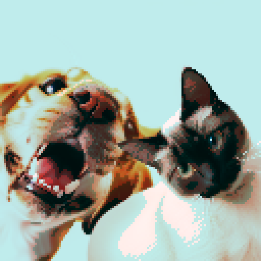 cat and dog